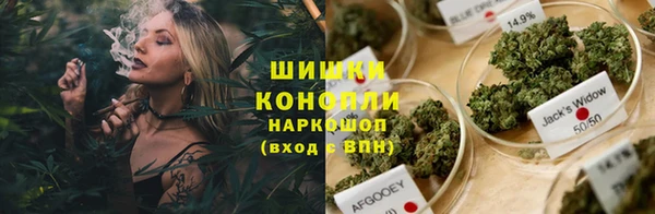 эйфоретик Осинники