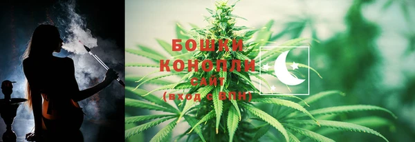 эйфоретик Осинники