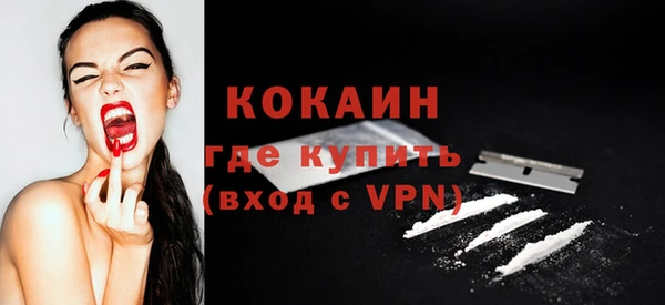 гашик Осташков