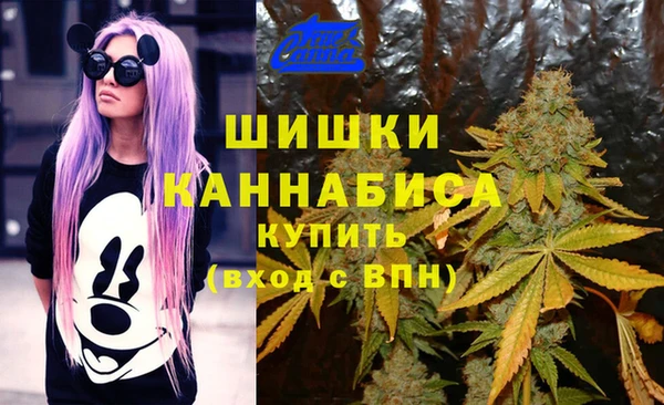 эйфоретик Осинники