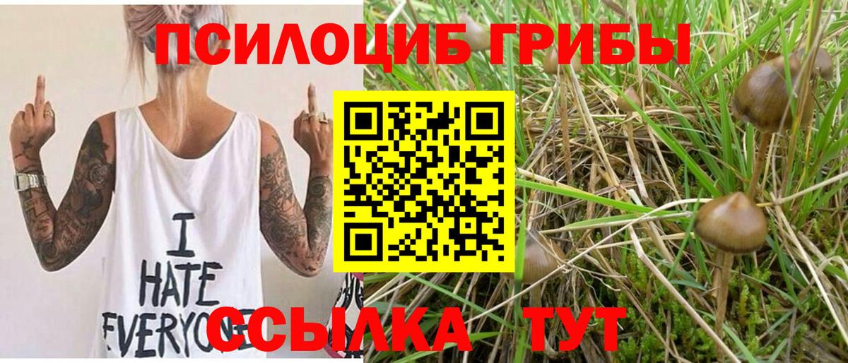 Анжеро-Судженск  Галлюциногенные грибы Psilocybine cubensis  Вход с VPN  Галлюциногенные грибы прущие грибы 