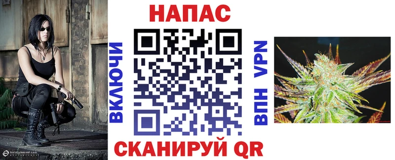Конопля сатива  нарко площадка состав  Анжеро-Судженск 